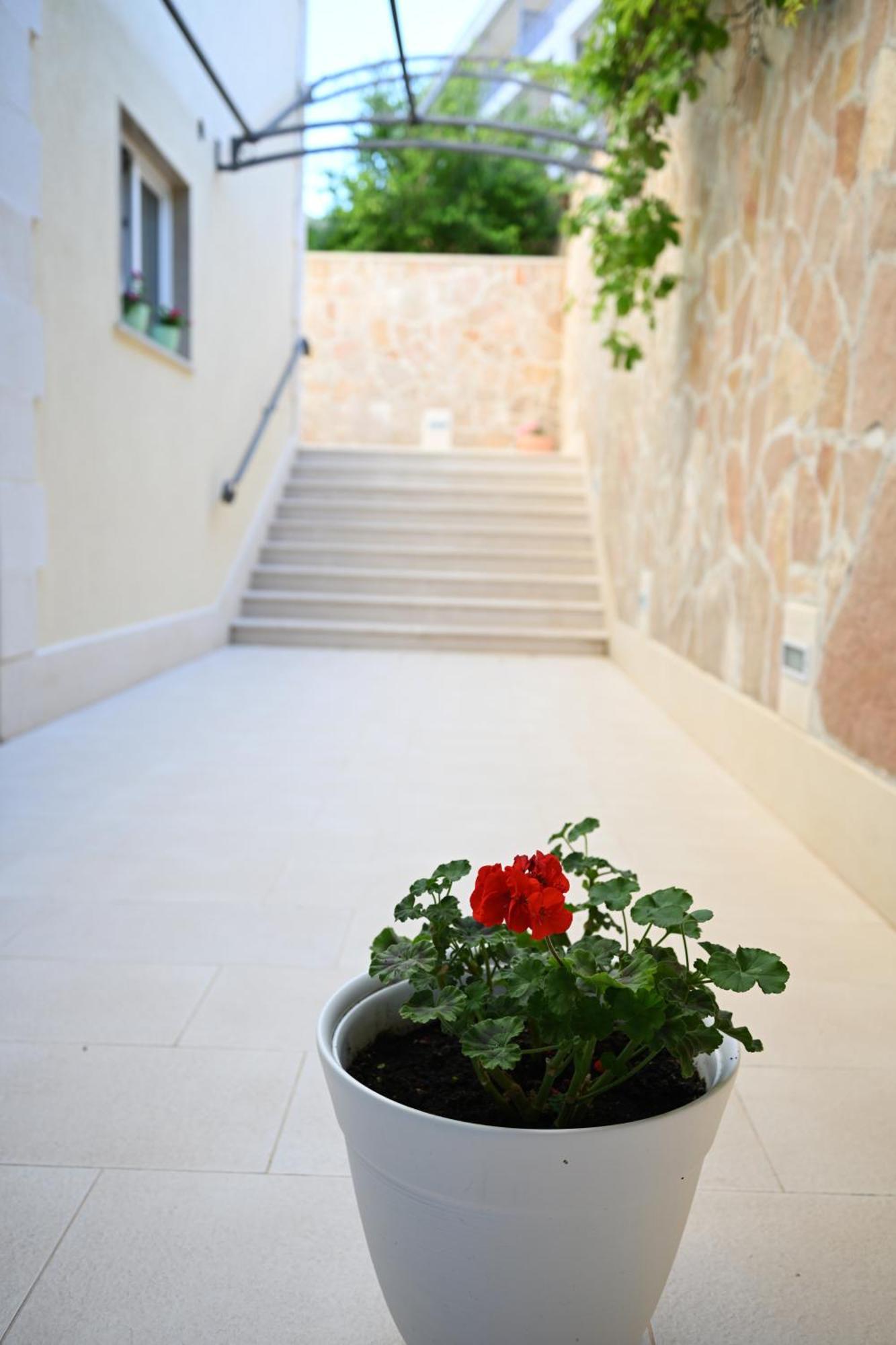 Hvar Villa Malisko Apartments Hvar Town Extérieur photo